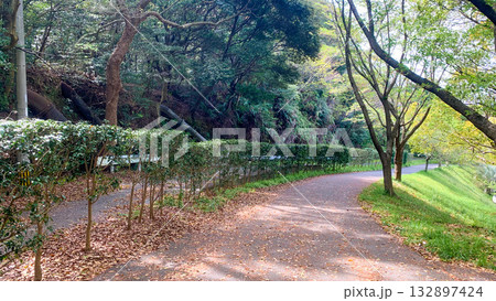 瀬板の森公園 北九州市 瀬板の森公園 北九州市 132897424