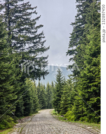 Mountain Horizons Road Through Majestic Peaks 132897450