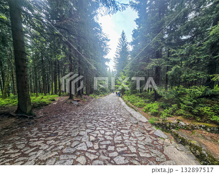 Mountain Horizons Road Through Majestic Peaks Mountain Horizons Road Through Majestic Peaks 132897517