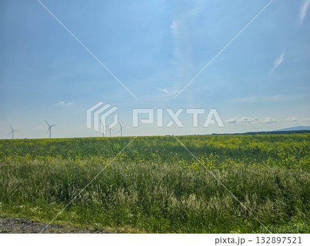 Freedom in Every Step Road Through Fields and Windmills Freedom in Every Step Road Through Fields and Windmills 132897521