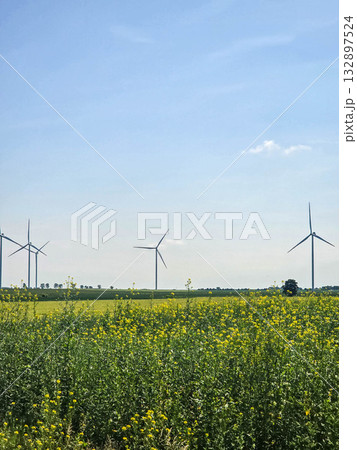 Freedom in Every Step Road Through Fields and Windmills 132897524