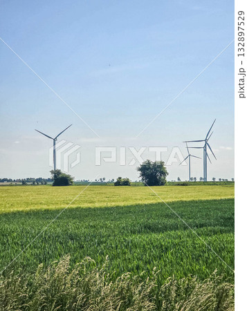 Freedom in Every Step Road Through Fields and Windmills 132897529