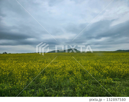 Nature Harmony Living Landscapes nature 132897580