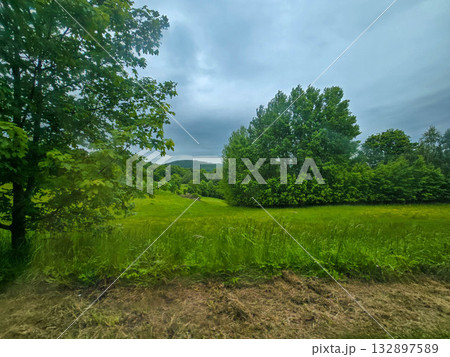 Nature Harmony Living Landscapes nature 132897589