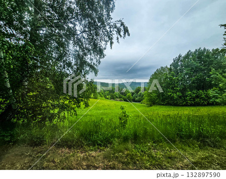 Nature Harmony Living Landscapes nature 132897590