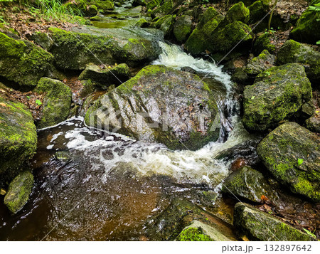 WildForestStream wild forest, forest stream 132897642