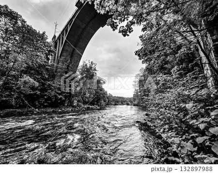 Concrete Railway Bridge in the Forest Concrete Railway Bridge in the Forest 132897988