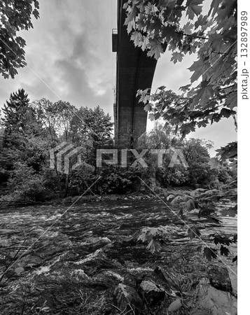 Concrete Railway Bridge in the Forest Concrete Railway Bridge in the Forest 132897989