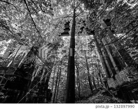 Concrete Railway Bridge in the Forest Concrete Railway Bridge in the Forest 132897990