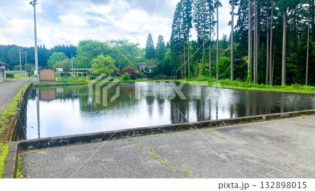 納池公園 綺麗な湧水と澄んだ小川 納池公園 綺麗な湧水と澄んだ小川 132898015