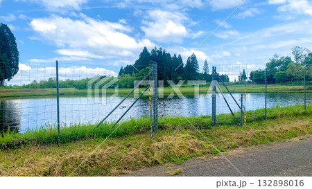 納池公園 綺麗な湧水と澄んだ小川 納池公園 綺麗な湧水と澄んだ小川 132898016