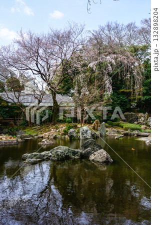 靖国神社　神池庭園の桜 132898204