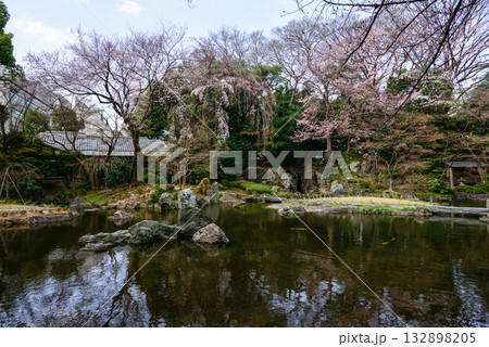 靖国神社　神池庭園の桜 132898205