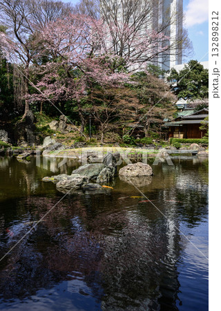 靖国神社 神池庭園の桜 靖国神社 神池庭園の桜 132898212