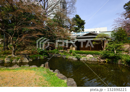 靖国神社 神池庭園の桜 靖国神社 神池庭園の桜 132898221