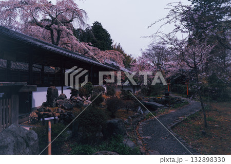 京都市西京区大原野にある十輪寺の桜を撮影 京都市西京区大原野にある十輪寺の桜を撮影 132898330