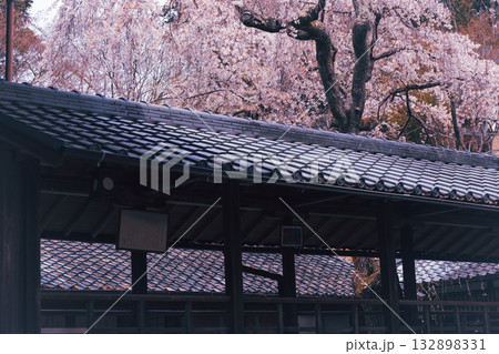 京都市西京区大原野にある十輪寺の桜を撮影 京都市西京区大原野にある十輪寺の桜を撮影 132898331