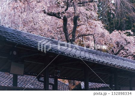 京都市西京区大原野にある十輪寺の桜を撮影 132898334