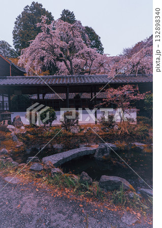 京都市西京区大原野にある十輪寺の桜を撮影 132898340