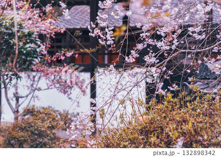 京都市西京区大原野にある十輪寺の桜を撮影 京都市西京区大原野にある十輪寺の桜を撮影 132898342