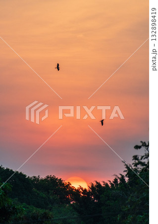 Sunset in Western Tanzania Sunset in Western Tanzania 132898419