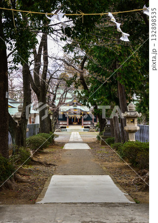 上赤塚　氷川神社　桜 132898535
