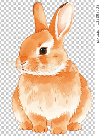 オレンジ毛のうさぎ水彩画 オレンジ毛のうさぎ水彩画 132898538