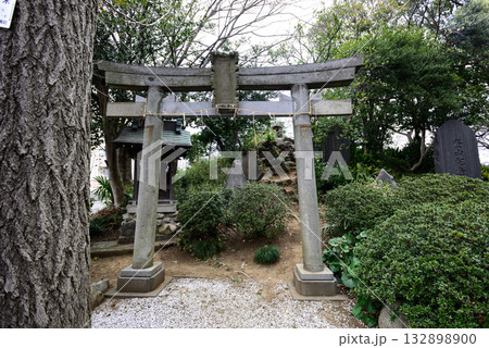 上赤塚　氷川神社　富士塚（浅間神社） 132898900