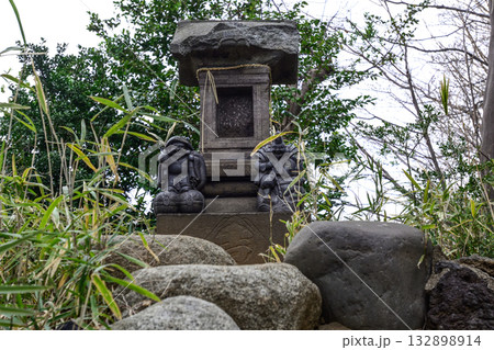 上赤塚 氷川神社 富士塚(浅間神社) 上赤塚 氷川神社 富士塚(浅間神社) 132898914