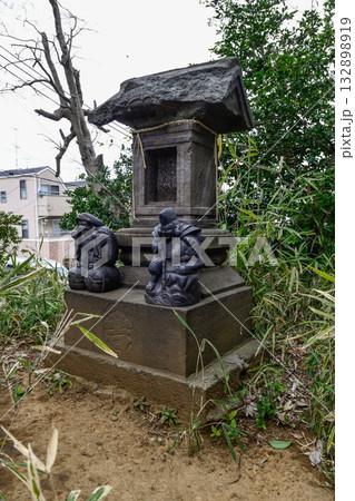 上赤塚　氷川神社　富士塚（浅間神社） 132898919