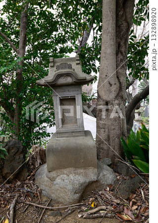 上赤塚　氷川神社　富士塚（浅間神社） 132898920