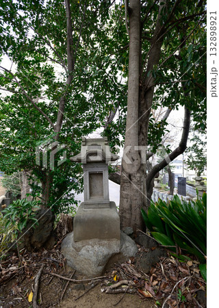 上赤塚 氷川神社 富士塚(浅間神社) 上赤塚 氷川神社 富士塚(浅間神社) 132898921