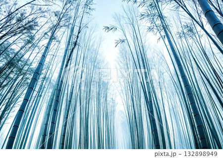 竹林に降る雪が描く美しい冬の自然 132898949