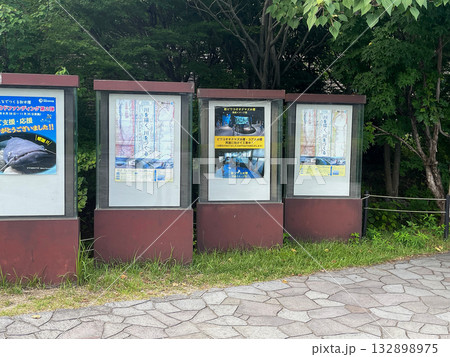 琵琶湖県立博物館 琵琶湖県立博物館 132898975