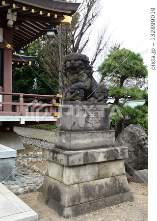 上赤塚　氷川神社　狛犬 132899019
