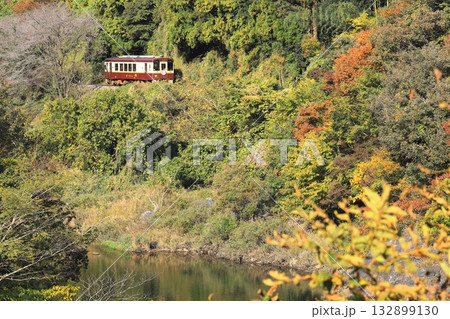 わたらせ渓谷鐵道「渡良瀬川と紅葉した山間部を走る列車」 132899130