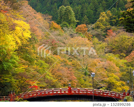 栃木県日光市の神橋と紅葉 132899286