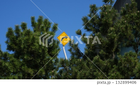 風に佇む松と標識 ― 百道の静かな午後 132899406