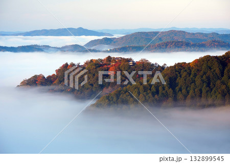 紅葉の天空の山城2350 132899545