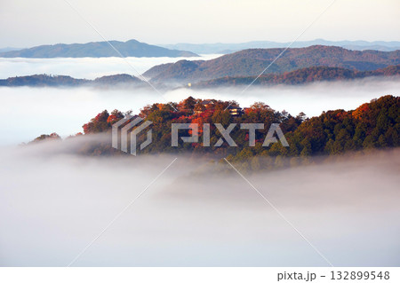 紅葉の天空の山城2369 132899548