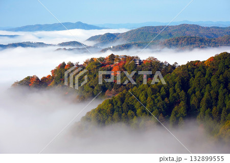 紅葉の天空の山城2431 132899555
