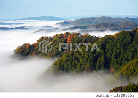 紅葉の天空の山城2461 紅葉の天空の山城2461 132899558