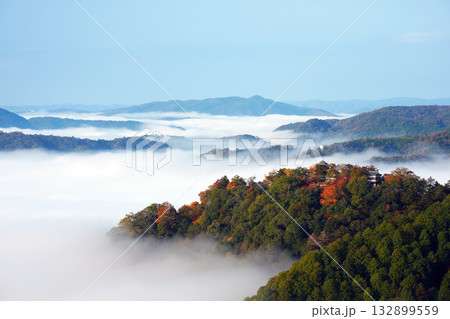 紅葉の天空の山城2465 132899559