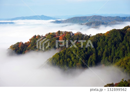 紅葉の天空の山城2506 紅葉の天空の山城2506 132899562