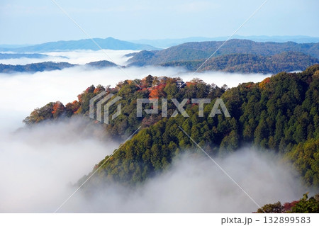 紅葉の天空の山城2705 132899583