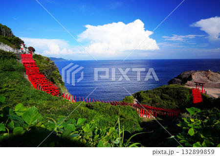 赤い鳥居　元乃隅神社1186 132899859