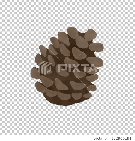 松ぼっくりのイラスト　手描き水彩風 132900191