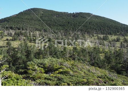 北八ヶ岳坪庭自然園からの眺め 北八ヶ岳坪庭自然園からの眺め 132900365