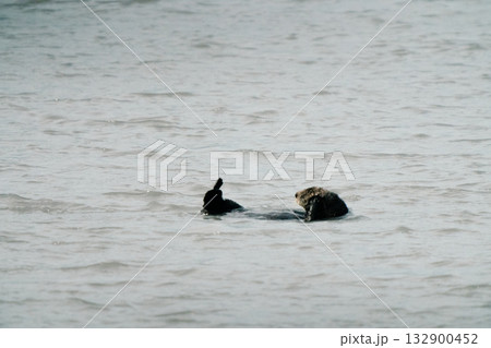 アラスカの自然154 132900452