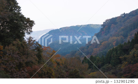 山の中から見える秋の日の出前の風景 132901290